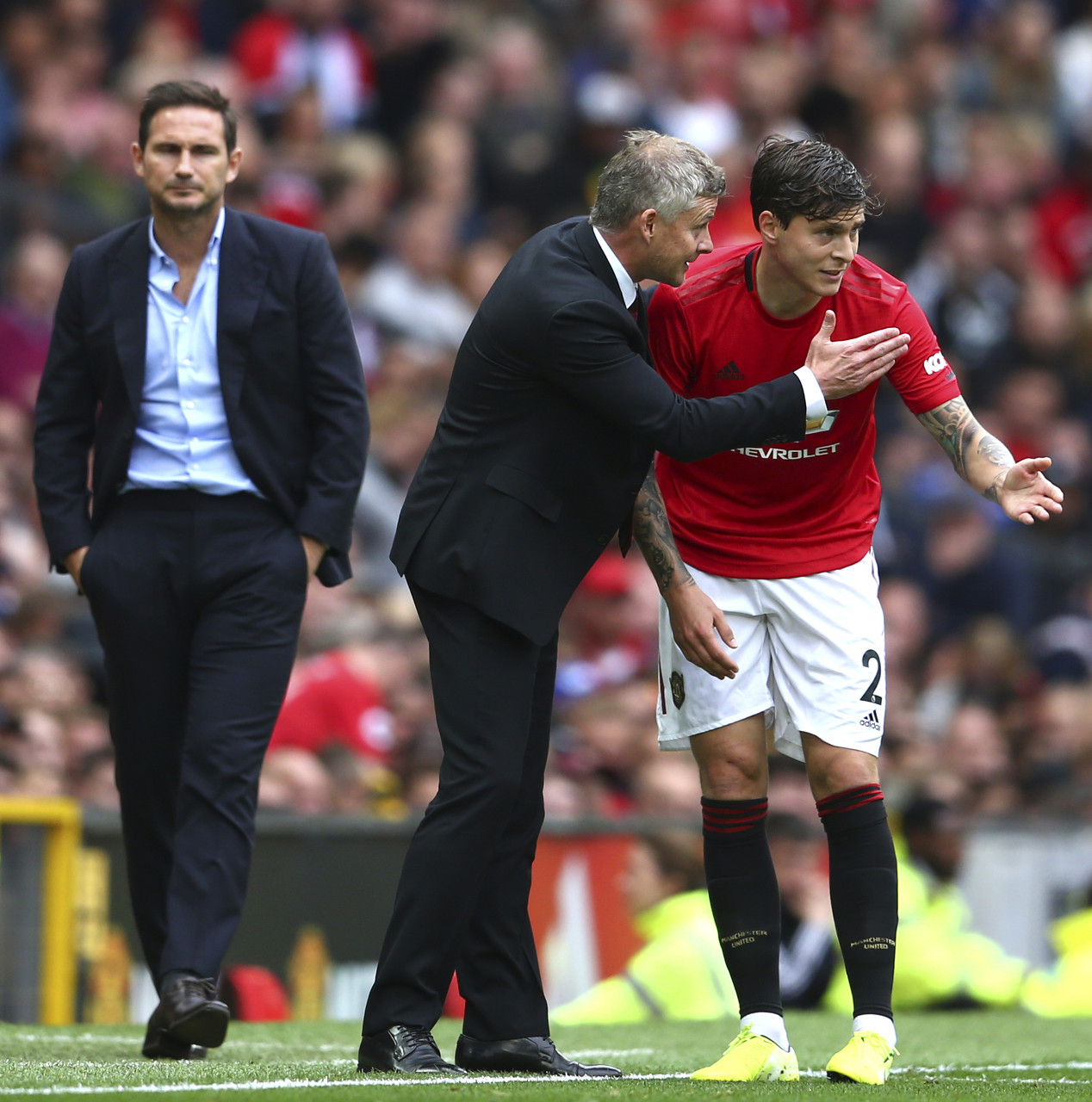 球场热烈的 球场热烈的